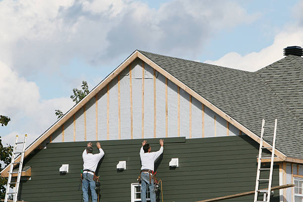 Professional Siding Repair technician working in Mendota, IL
